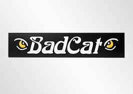 Bad Cat Amplifiers