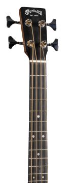 000CJr-10E Bass