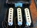 LOLLAR DIRTY BLONDE STRAT SET, FLAT, PARCHMENT