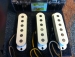 LOLLAR SPECIAL S STRAT SET, FLAT, PARCHMENT