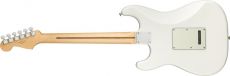 FENDER PLAYER STRATOCASTER  Oulu