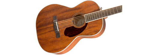 Fender pm2 parlor hotsell