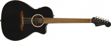 FENDER NEWPORTER SPECIAL