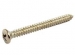 Neckplate Screw, Stainless Steel