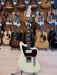 SQUIER PARANORMAL OFFSET TELECASTER Oulu