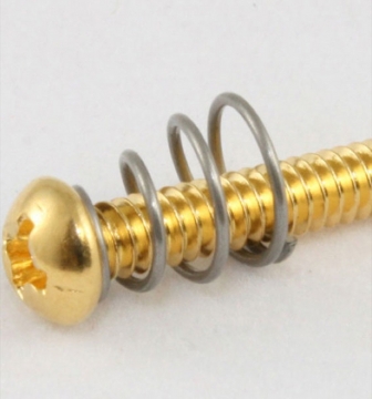 Gold Pickup Mounting Screw