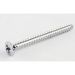 Neckplate Screw, Chrome Oulu