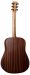 Martin D-10E Sapele Top -01