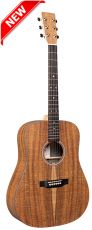 Martin D-X1E Guitar