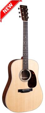 Martin D-16E Rosewood Guitar