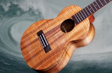 L.R. BAGGS FIVE.O UKULELE