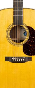 MARTIN D-28 BILLY STRINGS