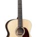 MARTIN Grand J-16E 12-string