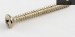 Nickel Neckplate Screw