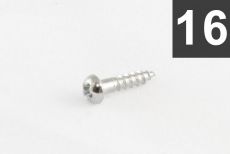 Pack of 16 Chrome Small Tuner Screws