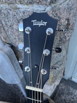 TAYLOR 114e 2018 Lefthanded 