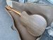 TAYLOR 114e 2018 Lefthanded 