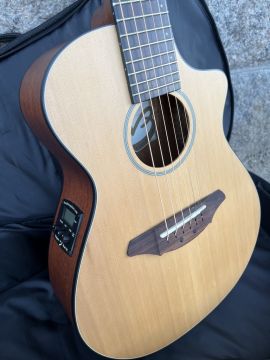 BREEDLOVE PASSPORT C250T/CM