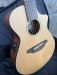 BREEDLOVE PASSPORT C250T/CM