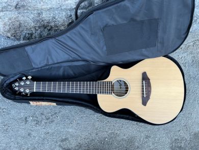 BREEDLOVE PASSPORT C250T/CM