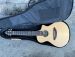 BREEDLOVE PASSPORT C250T/CM