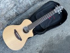 BREEDLOVE PASSPORT C250T/CM