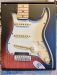 FENDER PRE-WIRED STRAT PICKGUARD, CUSTOM ´69 SSS