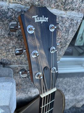 TAYLOR 214CE KOA 2024