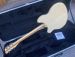 RICKENBACKER 360 2005