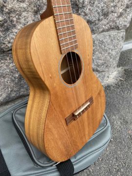 MARTIN T1K UKE 