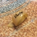 DUNLOP THUMBPICK ULTEX, MEDIUM