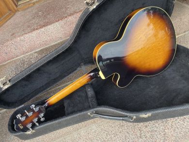 IBANEZ FG100 1983