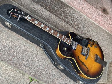 IBANEZ FG100 1983