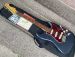 FENDER AMERICAN PROFESSIONAL CLASSIC STRATOCASTER 2025
