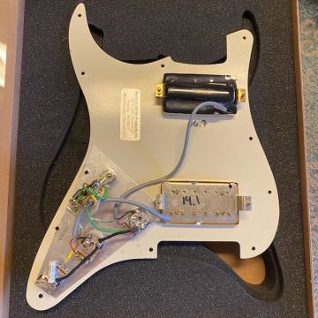 PREWIRED STRATOCASTER / WARMOTH PICKGUARD 