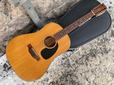 MARTIN D12-20 1970