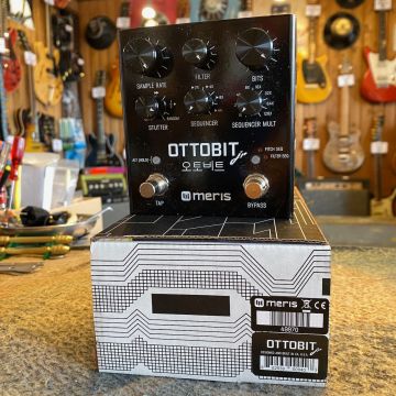 MERIS OTTOBIT JR