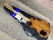 GIBSON LES PAUL SPECIAL TRIBUTE 2021