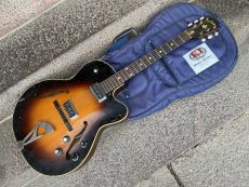 LEVIN 335 1966