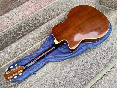 LEVIN 335 1966