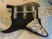 PREWIRED STRATOCASTER PICKGUARD