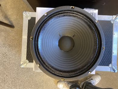 CELESTION G10 VT Jr
