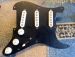 PREWIRED STRATOCASTER PICKGUARD