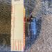 PHILIPS ECC81