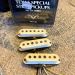 FENDER TEXAS SPECIAL STRAT SET