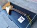 GIBSON LIMITED EDITION EXPLORER 1976
