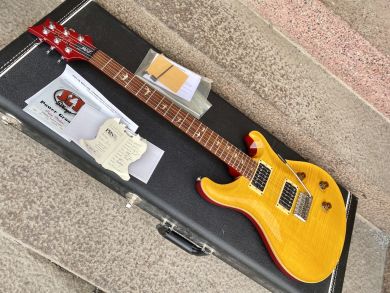 PRS 20TH ANNIVERSARY CUSTOM 24 2005