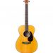 MARTIN 000JR-10E Shawn Mendes