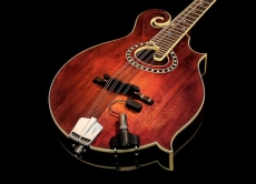 L.R. BAGGS RADIUS MANDOLIN PICKUP Oulu