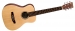 MARTIN LX1EL Lefthanded